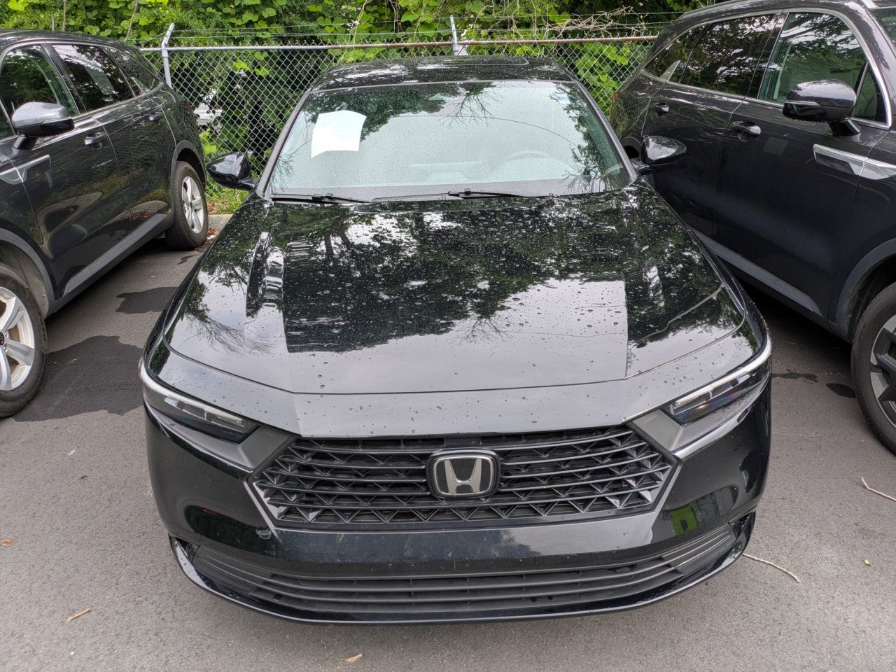 2023 Honda Accord Hybrid Sport-L