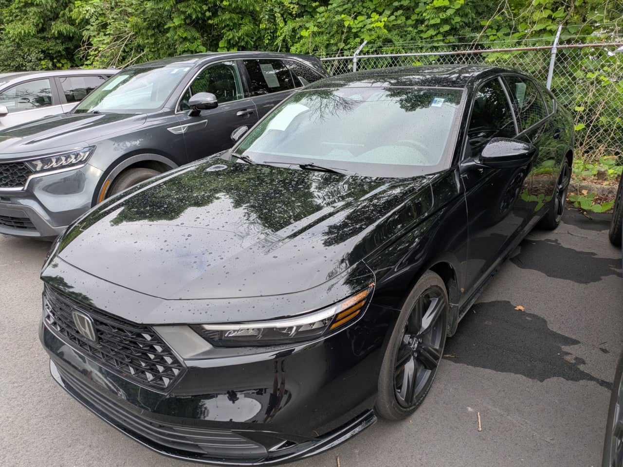 2023 Honda Accord Hybrid Sport-L