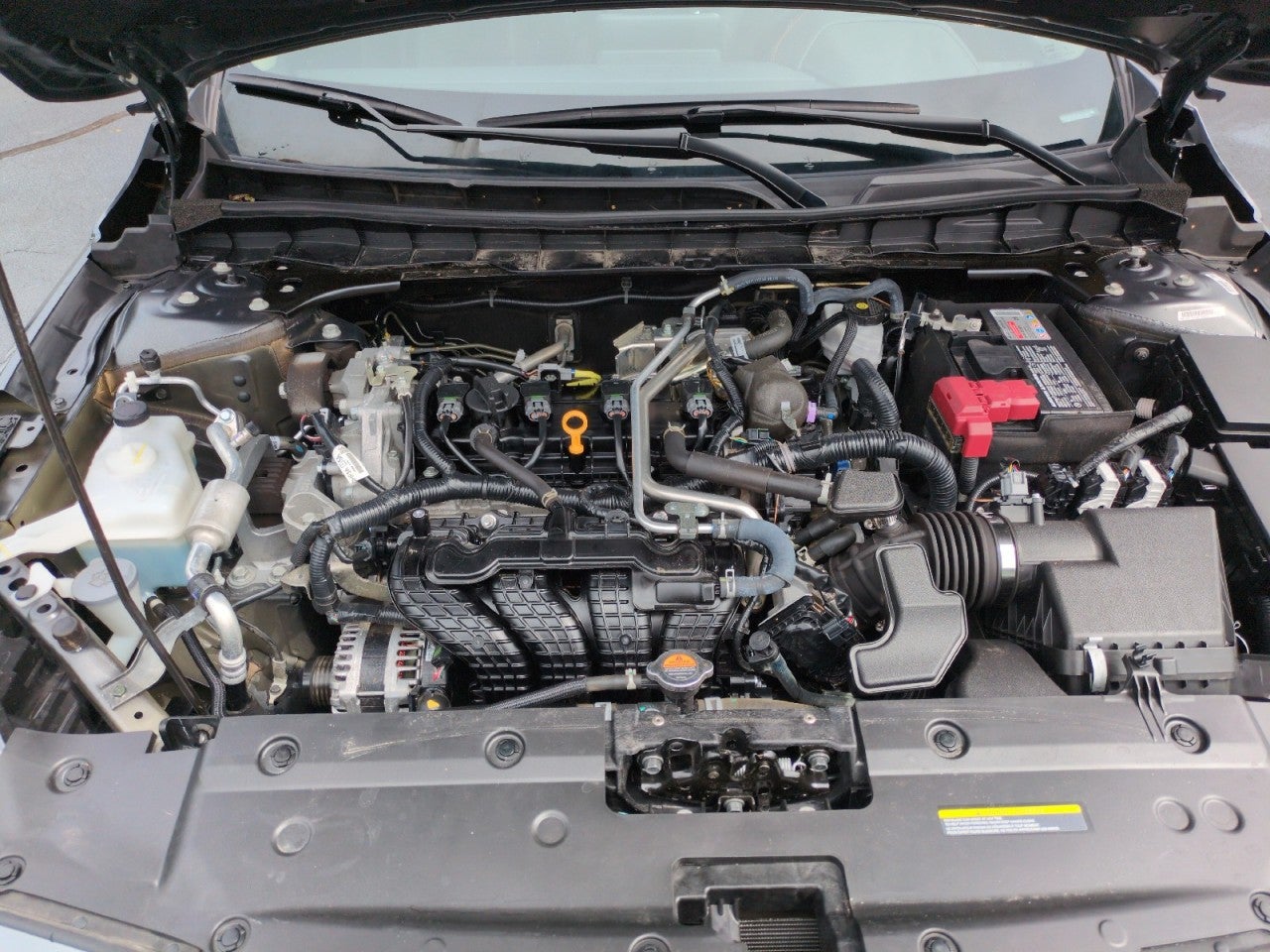 2025 Nissan Altima SR