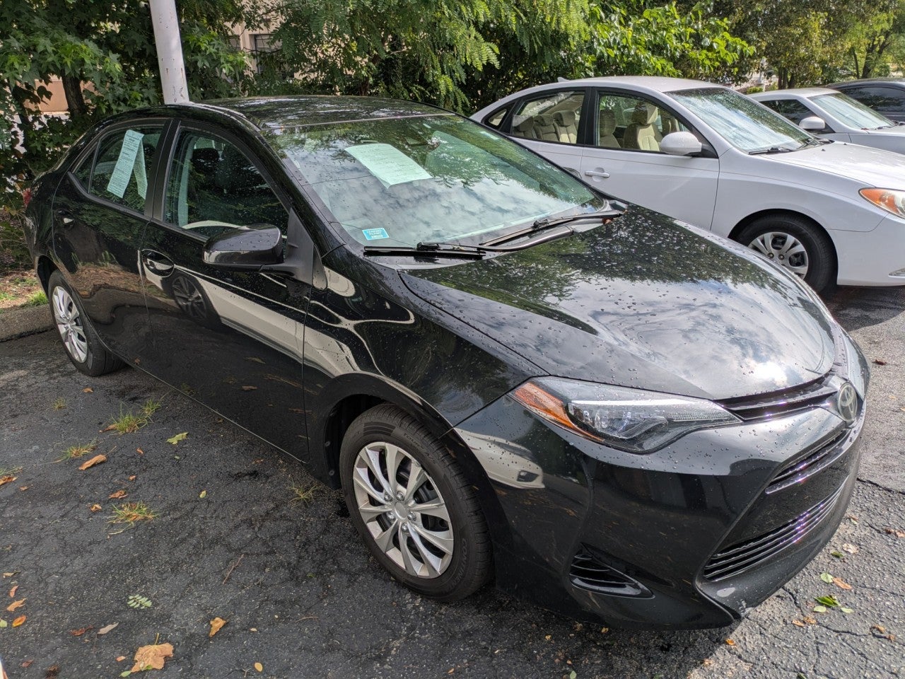 2017 Toyota Corolla 50th Anniversary Special Edition
