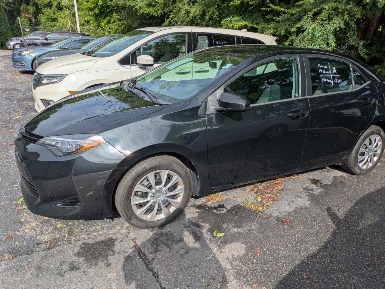 2017 Toyota Corolla 50th Anniversary Special Edition